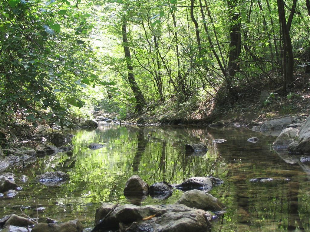مبيت وإفطار San Dorligo della Valle Rosandra المظهر الخارجي الصورة